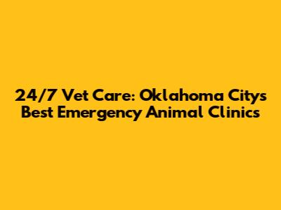24/7 Vet Care: Oklahoma City's Best Emergency Animal Clinics