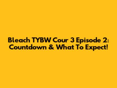 Bleach TYBW Cour 3 Episode 2: Countdown & What To Expect!