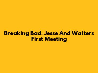 Breaking Bad: Jesse And Walter's First Meeting