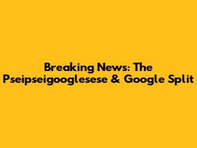 Breaking News: The Pseipseigooglesese & Google Split