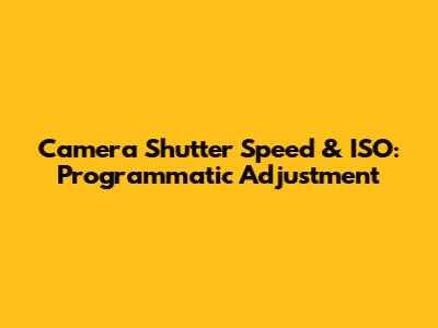 Camera Shutter Speed & ISO: Programmatic Adjustment