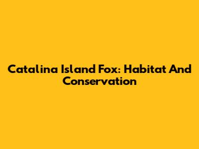 Catalina Island Fox: Habitat And Conservation