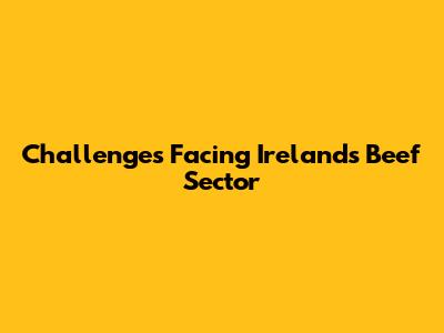 Challenges Facing Ireland's Beef Sector