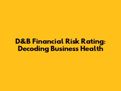 D&B Financial Risk Rating: Decoding Business Health