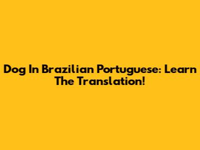 Dog In Brazilian Portuguese: Learn The Translation!