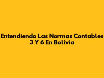 Entendiendo Las Normas Contables 3 Y 6 En Bolivia