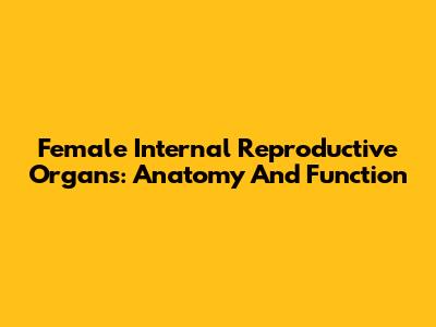 Female Internal Reproductive Organs: Anatomy And Function