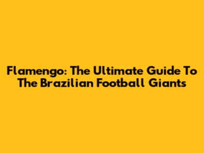 Flamengo: The Ultimate Guide To The Brazilian Football Giants