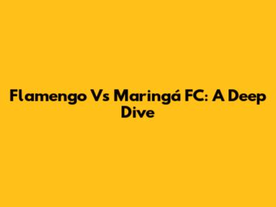 Flamengo Vs Maringá FC: A Deep Dive