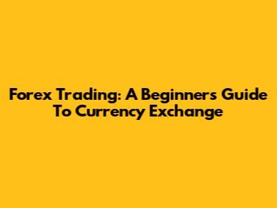 Forex Trading: A Beginner's Guide To Currency Exchange