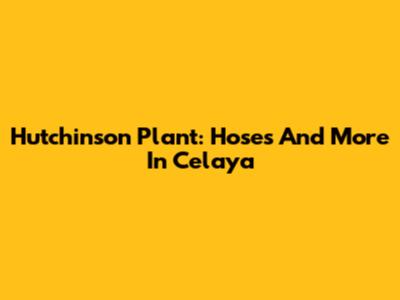 Hutchinson Plant: Hoses And More In Celaya