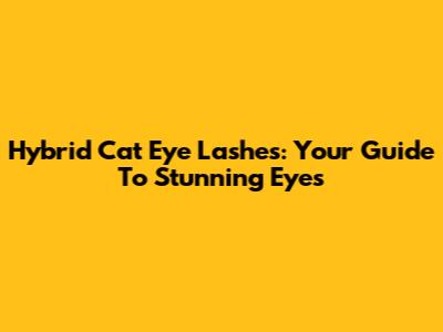 Hybrid Cat Eye Lashes: Your Guide To Stunning Eyes
