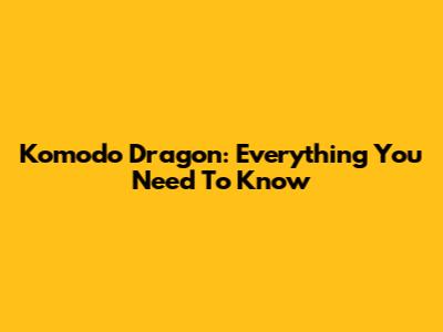 Komodo Dragon: Everything You Need To Know