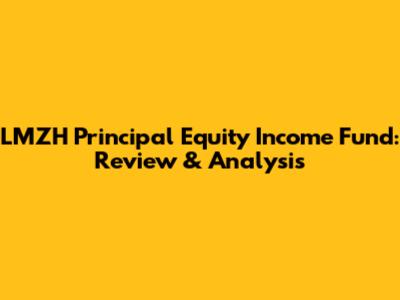 LMZH Principal Equity Income Fund: Review & Analysis