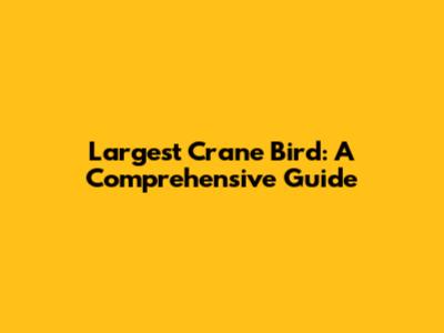 Largest Crane Bird: A Comprehensive Guide