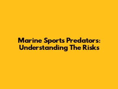Marine Sports Predators: Understanding The Risks