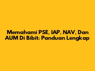 Memahami PSE, IAP, NAV, Dan AUM Di Bibit: Panduan Lengkap