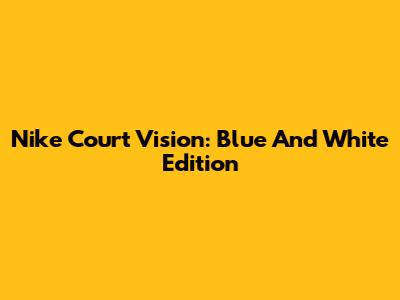 Nike Court Vision: Blue And White Edition