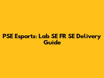 PSE Esports: Lab SE FR SE Delivery Guide
