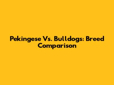 Pekingese Vs. Bulldogs: Breed Comparison