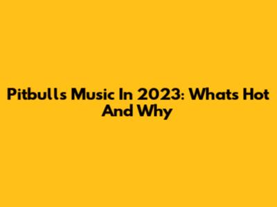 Pitbull's Music In 2023: What's Hot And Why