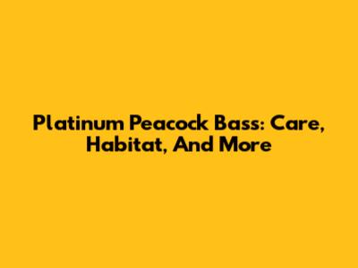 Platinum Peacock Bass: Care, Habitat, And More