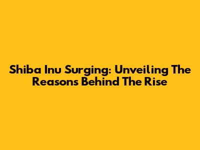 Shiba Inu Surging: Unveiling The Reasons Behind The Rise