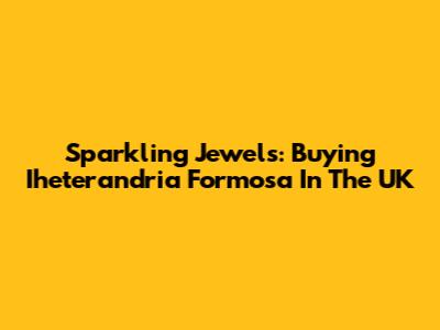 Sparkling Jewels: Buying Iheterandria Formosa In The UK