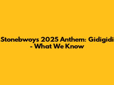 Stonebwoy's 2025 Anthem: Gidigidi - What We Know