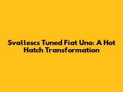 Svallesc's Tuned Fiat Uno: A Hot Hatch Transformation