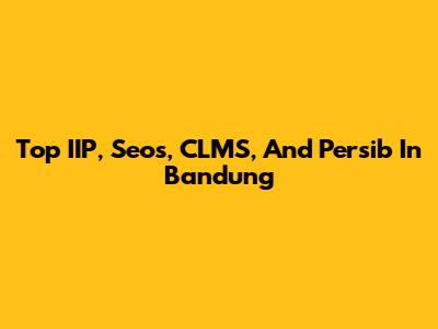 Top IIP, Seos, CLMS, And Persib In Bandung
