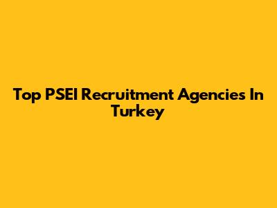 Top PSEI Recruitment Agencies In Turkey